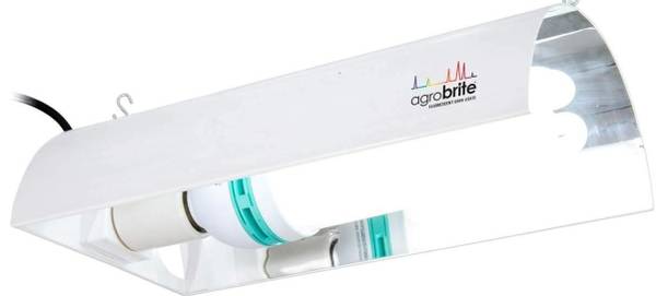 Fluorowing Compact Fluorescent System with CFL Bulb 1