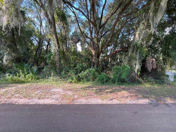 $29,700 Large Corner Lot in Prime Location 2 Homesites possible! No Flood Zone (Inverness)63980539630850124