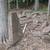 large amount of cutArchitectural Brownstone/ 8 thumbnail
