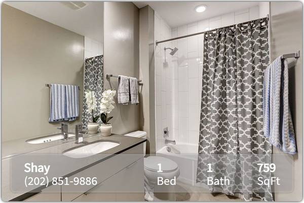 $2,180 / 1br - 759ft2 - 1 Bed / 1 Bath available at The Shay. Pets Welcome! (Washington - Shaw -  D.C.)64040193599490122