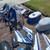 Yamaha fj 1200 x2 5 thumbnail