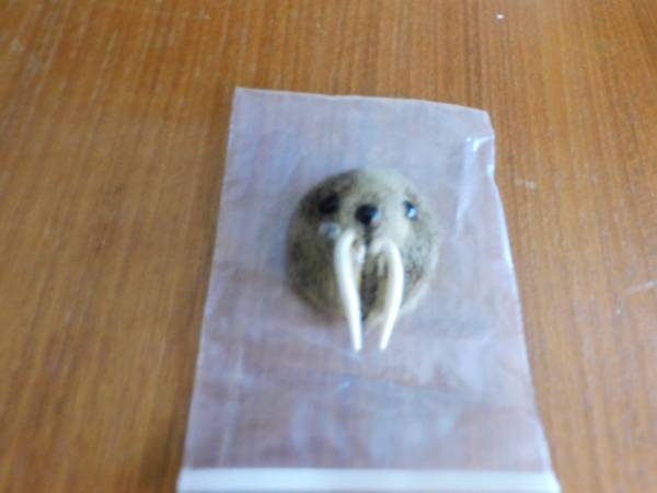 1969 Anchorage Fur Rendezvous Rondy Pin--Walrus Head Only 1