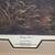 4 Framed Mark Anderson Pheasant Prints 5 thumbnail