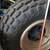 1987 Suzuki Quadracer 250 22 thumbnail