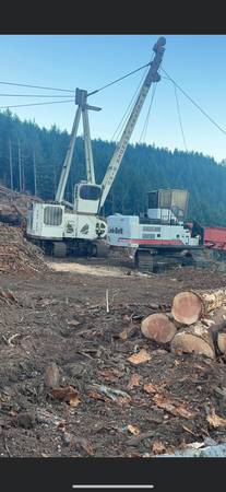 Timber Logging 1
