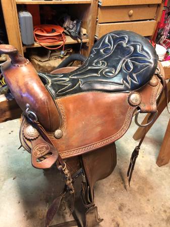 Gorgeous Allegheny Mountain saddle 1