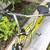 GREAT RARE ELECTRA CHOPPER CRUISER THE JEREMY 16 thumbnail