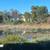 Resort style community near the beach 1bd/1br 18 thumbnail