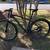 Mountain Bike 1 thumbnail