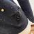Chaus Petites Vintage Black Sweater w/ Gold, Black Beads and Felt - P 10 thumbnail
