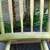 1840's Hand Painted Chair 4 thumbnail