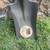 Blue Hawk 38" Wood D-Handle Garden Spade #0229821 2 thumbnail