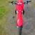 2022 honda 450r 4 thumbnail