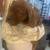 Dogue de Bordeaux 4 thumbnail