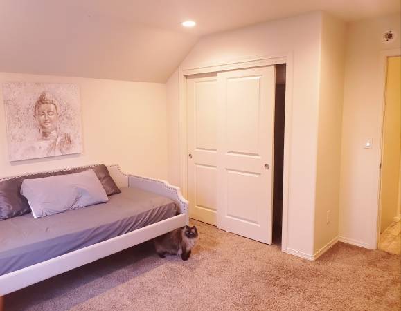 $800 / 3br - Habitación, Mt Shasta (Mount Shasta)63678184524291121