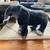 Elephant 1 thumbnail