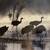 COLORS IN THE WILD • National Wildlife Federation 12 thumbnail