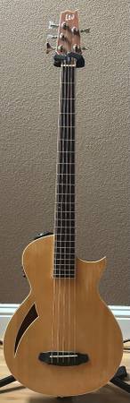 ESP Ltd Thinline 5-string Bass 1