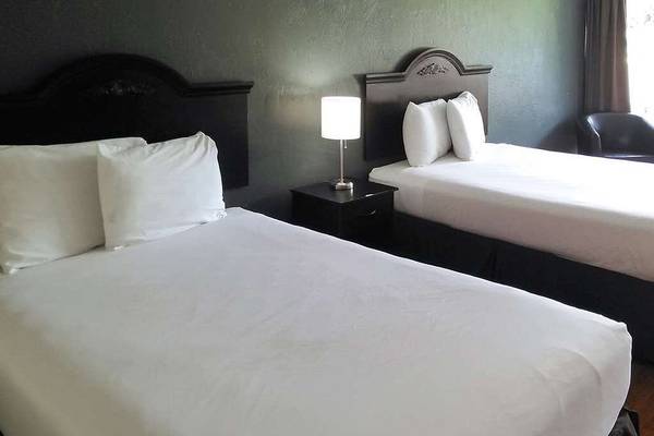 $365 / 1br - $365 WEEKLY  RENTAL (ORMOND BEACH)63791575528707122