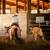 Part-Time Ranch Help / Stall Cleaner –  (Long-Term) 2 thumbnail