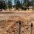 Price Reduced! 0.23 Acre Lot in Lower Magalia in a Peaceful Setting 4 thumbnail