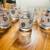 Libbey silver leaf glassware 4 thumbnail