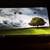 ASUS Transformer 10.1" Tablet TF700 needs repair 4 thumbnail