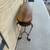 Beautiful wrought iron and wood sofa table. 5 thumbnail
