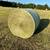 Horse grass hay —excellent quality— delivery available 1 thumbnail