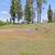 0.34 Acre Lot Paradise Lot, Adjacent to Honey Run Creek 2 thumbnail
