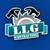 LLG Contracting LLC - Roofing & Chimney Experts in Alexandria Va 1 thumbnail