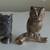 Solid Steel and Bronze Owl Figurines 1 thumbnail