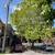 Nice Cozy Apartments, Hyde Park, Downtown! 1 Months FREE! 20 thumbnail