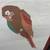 “Parrots” Lithograph by Jonna White 3 thumbnail