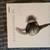 Bose Quietcontrol 30 Wireless Headphones - Brand New 2 thumbnail