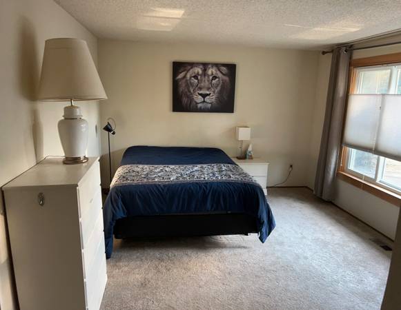$1,000 / 3700ft2 - Bellevue room with own bathroom (Bellevue)63948083484931123