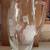 Tall Glass Etched Floral Pitcher 1 thumbnail