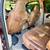 TRADE/Sale 05 Ford F-350 Dually King Ranch 4x4 Diesel 1 Owner 100k FX4 12 thumbnail