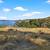 Lakeview lot! 3 thumbnail