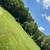 Nice Good Reliable Affordable Fall Clean & Lawn Care Service 12 thumbnail
