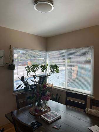 $1,225 / 2br - Room for Rent in cozy 2BR/1Bath (Oakland)63797037491843122