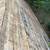 Gutter and Roof Repair and Cleaning 17 thumbnail