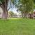 Nine Laundry Rooms, Gated Community, Carpeting 5 thumbnail