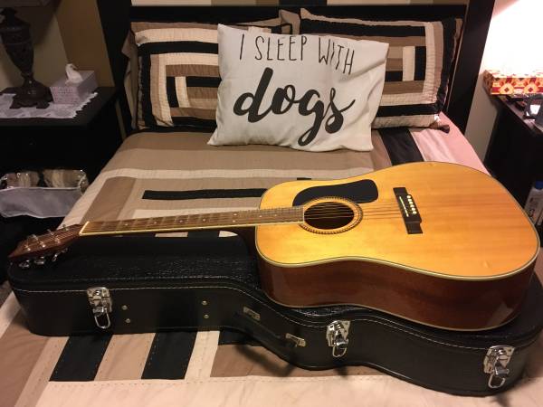 Washburn D-10S Guitar 1