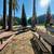 Lake Madrone Community Vacant Lot For Sale 14 thumbnail
