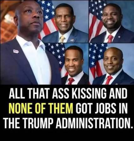 Daddy's Back / Negro Please! (Where's My JOB?!?    DEI?)64200662863106120