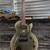 Epiphone Les Paul special 1 thumbnail