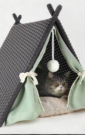 Cat tent 1