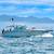Se vende Yate Tiara 4000 Express en Puerto Vallarta 4 thumbnail