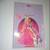 Barbie and the Diamond Castle Lot 4 thumbnail